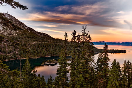 green trees and body of water during daytime thumbnail