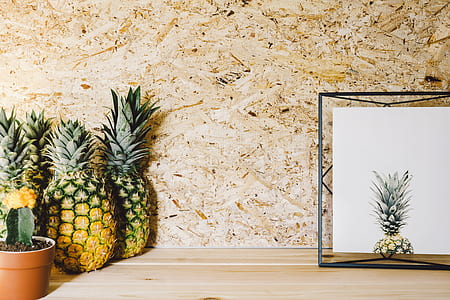 several pineapples near green cactus plant thumbnail
