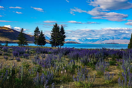 white clouds over green mountain during daytime thumbnail