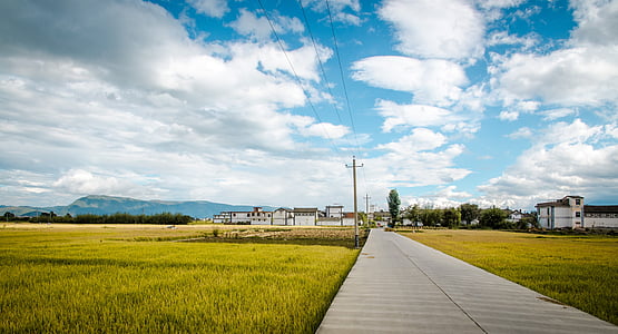 gray concrete road between grass fields thumbnail
