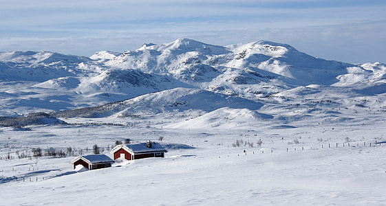 red and white wooden house at daytime thumbnail