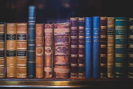 Blue and Gold Cover Book on Brown Wooden Shelf thumbnail