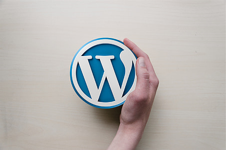 white and blue Westinghouse case thumbnail