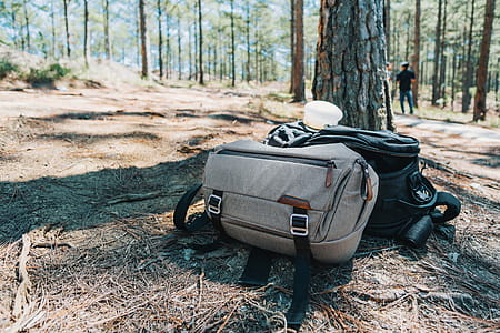Photograph of Two Duffel Bags Under the Tree in Forest thumbnail