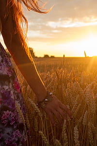 woman standing beside wheat field thumbnail