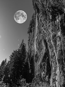 grayscale photo of cliff near tree under full moon thumbnail
