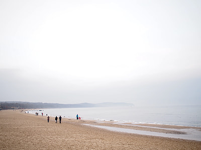 beach, brown, gray, sand thumbnail