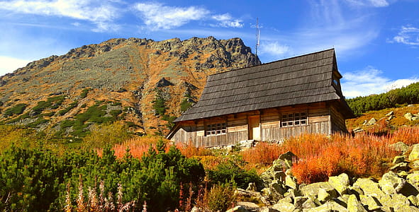 House on Rock Cliff thumbnail