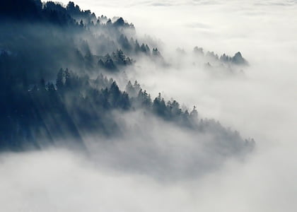 fog covered green mountain thumbnail