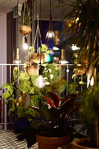 hanging power pots near pendant light thumbnail