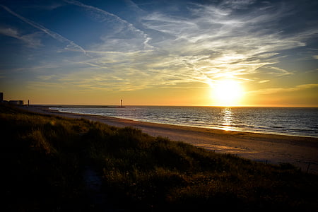 green grasses near beach thumbnail