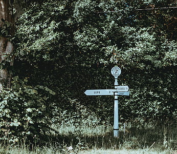 white and black wooden rod sign near trees and plants thumbnail