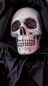 human skeleton decor thumbnail