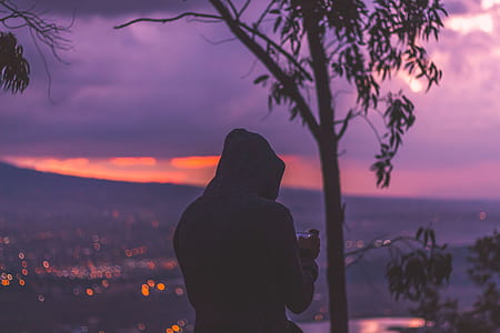 man on top of mountain and trees thumbnail