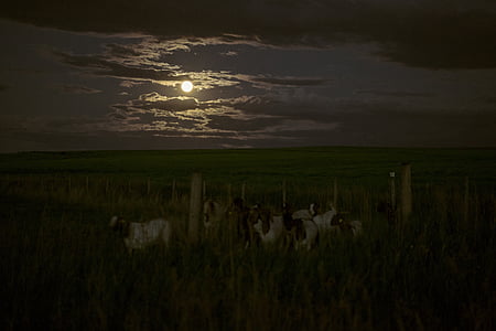 scenery of full moon thumbnail