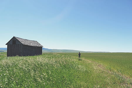 person walking towards black house in middle of grass field under clear sky thumbnail