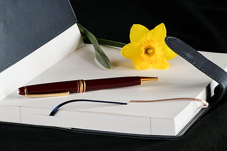 brown and gold-colored retractable pen thumbnail
