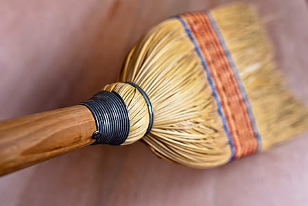 close-up photo of brown soft broom thumbnail