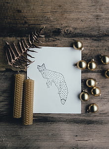 illustration of a fox thumbnail