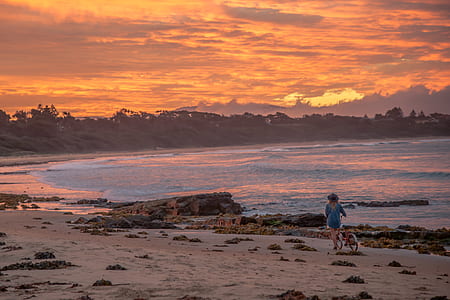 woman and dog walking on seashore during golden hour thumbnail