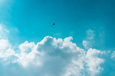 Little Plane Above The Clouds thumbnail