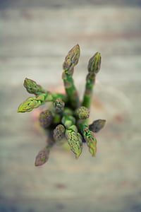 closeup photo of green leaf vegetables thumbnail