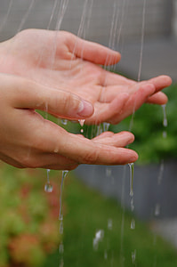 shallow focus photography of person hands thumbnail