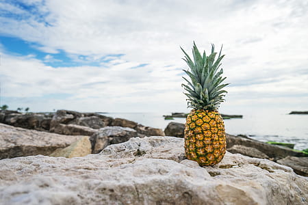 pineapple on rock thumbnail