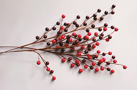 round red and black fruits thumbnail