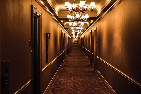 lights, hotel, wall, architecture thumbnail