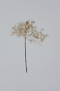 brown leafed tree painting thumbnail