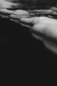 nature, water, wet, close-up thumbnail