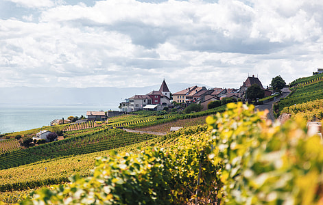 view of houses near farm thumbnail