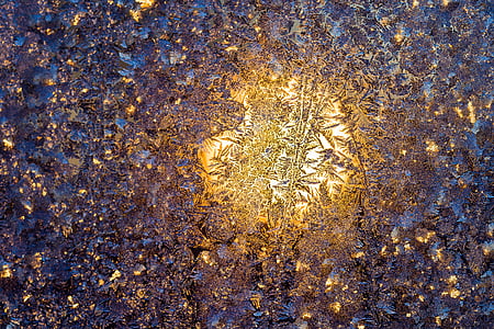photo of leaves during daytime thumbnail