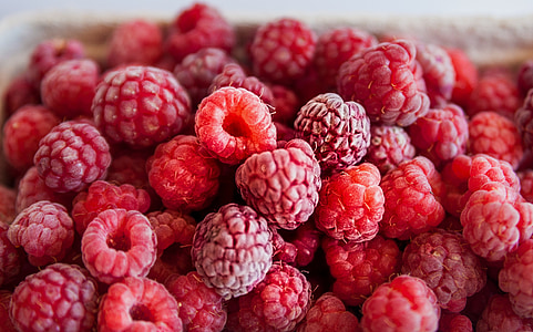selective focus photo of raspberry pile thumbnail