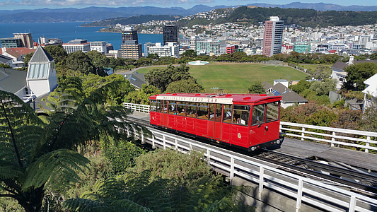 red train thumbnail