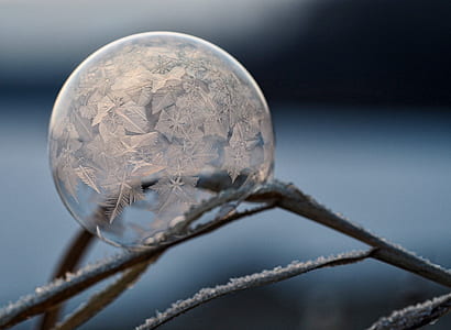 macro shot of bubble thumbnail