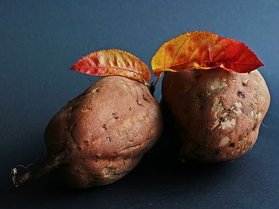 two root crops thumbnail