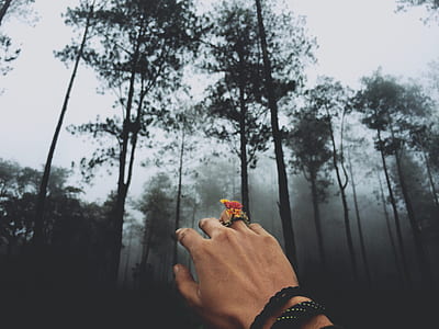 person wearing red floral ring thumbnail