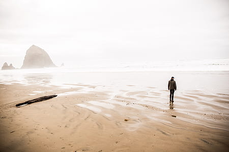 rule of thirds photography of person standing on brown sand thumbnail