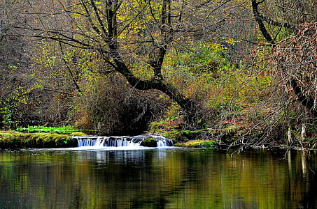 body of water near trees during daytime thumbnail