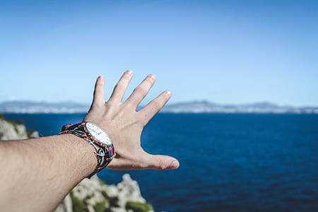 person wearing round gold-colored analog watch thumbnail