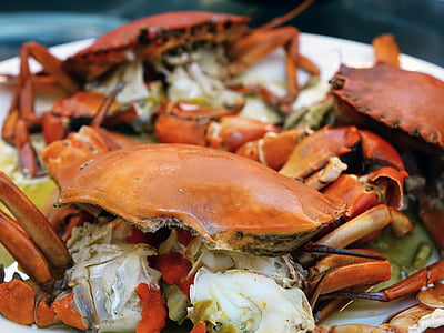 orange crab on plate thumbnail