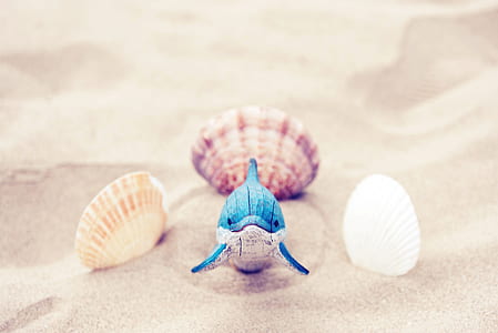 photo of blue and white dolphin figurine beside three seashells on beige sand thumbnail