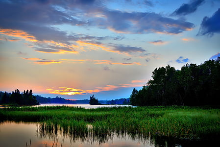 photographed of green grass on body of water thumbnail