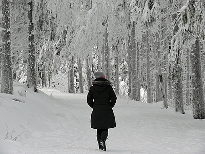 person walking towards snow capped trees thumbnail