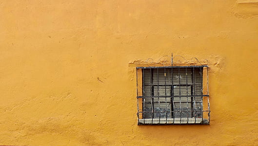 window fence on yellow all thumbnail