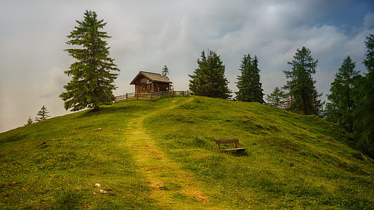 house on top of hill surrounded by trees thumbnail