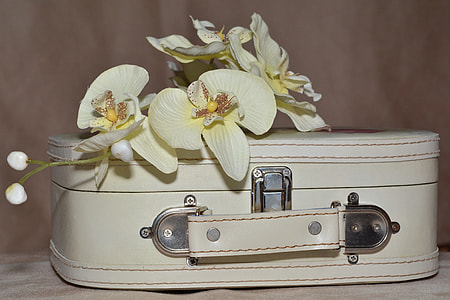 white petaled flower on top of hat luggage thumbnail