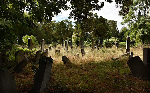 tombs inside woods during daytime thumbnail